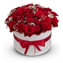 Box červených růží